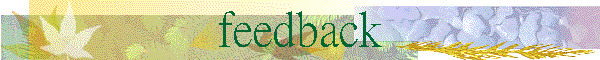 feedback