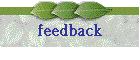 feedback